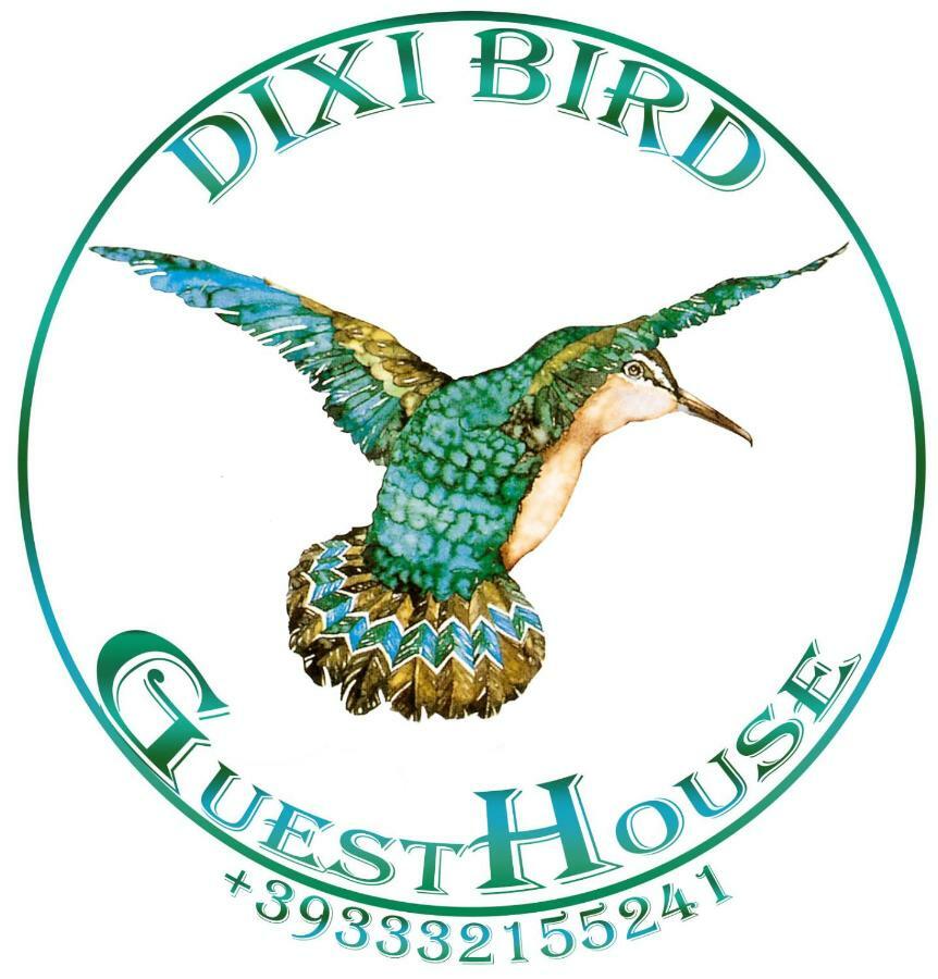 Dixi Bird Guesthouse Roma Esterno foto